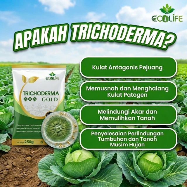 Apakah Trichoderma